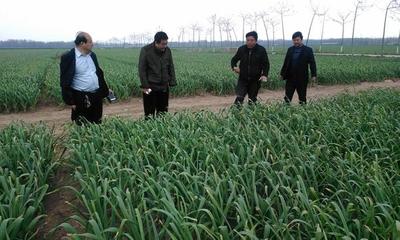 河南省農(nóng)業(yè)品牌公示